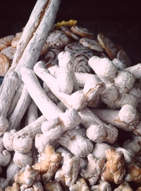 Studien zur Phallus-Symbolik im Brauchtum des Festes des Hl. Gonçalo von Amarante 1998. Fotos A.A.Bispo 1996. Copyright ISMPS